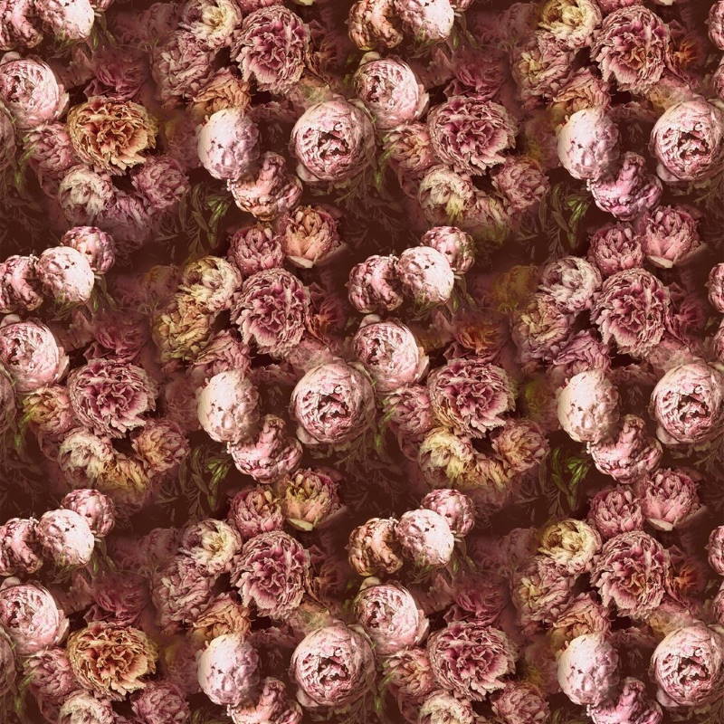 Bezugsstoff-Blumen-Vespertina Sepia Designers-Guild